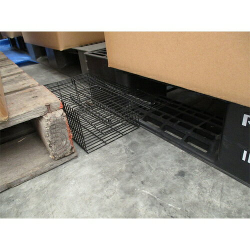 �ȥ饹���滳 �ͤ������ϥ��� MSH(�ȥ饹��)