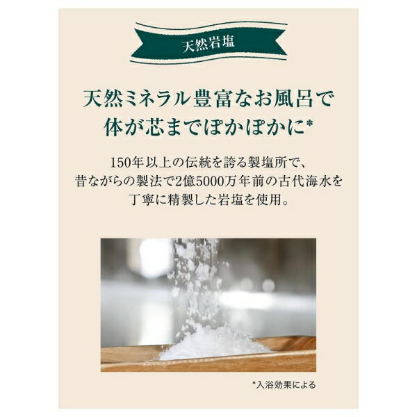 �����ƥ����ۡ���� �Х������ ����˥ѡ�������˥��ι�� 850g ���ʥ��ץ���ѥ� BSJ��A850