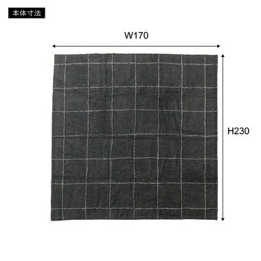 Joshin web 家電とPCの大型専門店の東谷 ラグ（グレー） TTR-184GY [TTR184GYアズマヤ]｜アングル3