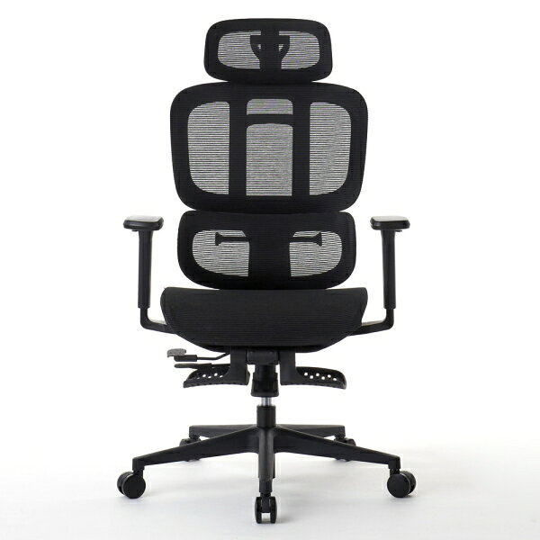 ROOMWORKS(ルームワークス) オフィスチェア M5シリーズ 多機能フルメッシュワークチェア(ブラック) RM5-BK [RM5BK]