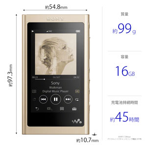 NW-A55/NソニーウォークマンA50シリーズ16GBヘッドホン非同梱モデル(ペールゴールド)SONYWalkman