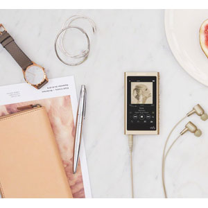 NW-A55/NソニーウォークマンA50シリーズ16GBヘッドホン非同梱モデル(ペールゴールド)SONYWalkman