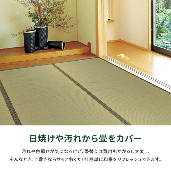 Joshin web 家電とPCの大型専門店のHAGIHARA(萩原) い草カーペット 柳川 江戸間3畳（174×261cm） ヤナガワE3 [ヤナガワE3]｜アングル3