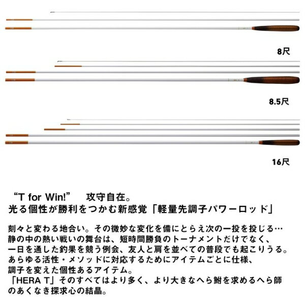 ������ 25 �إ� T 8.5 (4��) 25�إ�T8.5 DAIWA �ؤ��