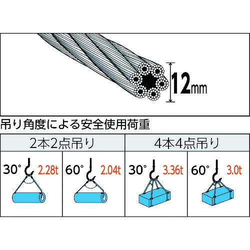 トラスコ中山 玉掛けワイヤーロープ 段落し 12mm×1m TWD-12S1