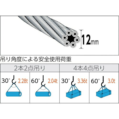 トラスコ中山 玉掛けワイヤーロープ 段落し 12mm×8m TWD-12S8