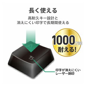 エレコム 2.4GHzワイヤレス キーボード メンブレン式 コンパクトサイズ（ブラック） TK-FDM105TXBK - Image 3