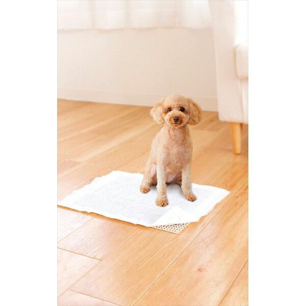 ���� �ڥå��ѳ��ߤ�ͥå� ���٥�å����ڥå� 30��38cm ����3033084 ��������ߤ�ͥå� [����3033084]