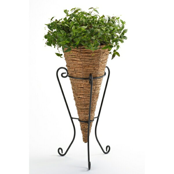 ���� �ե�������� ���� �ʥ����ݥåȥ������ �� 50210 �������ƥꥢ�����