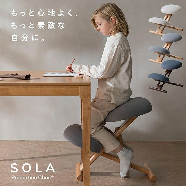 宮武製作所 プロポーションチェア(R) SOLA [ソラ]（オフホワイト） CH-P900CK_WH M...