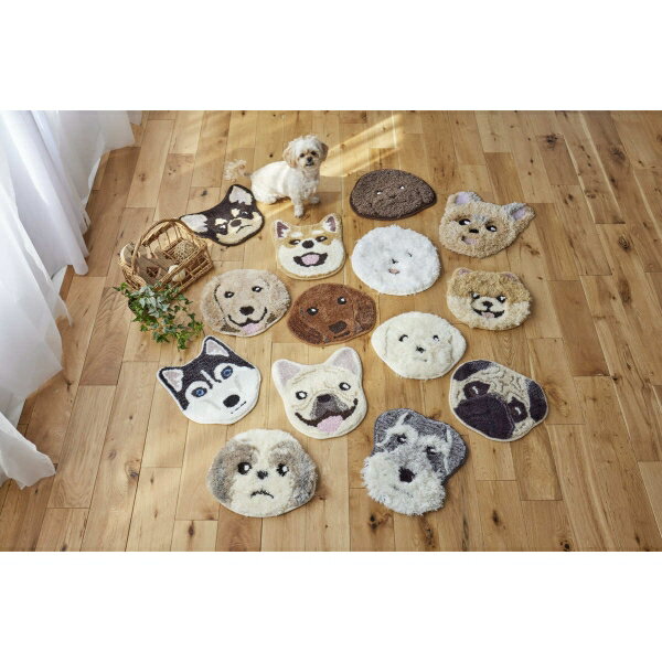 スミノエ(SUMINOE) イヌカオマット(ゴールデン・36×39cm) 14302853-58-36-38 イヌカオ(143-02853) [14302853583638]