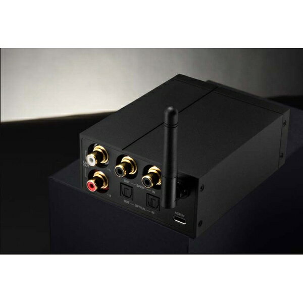 ロトゥー LTTP対応USB-DAC/DDC PAW-D3 Lotoo