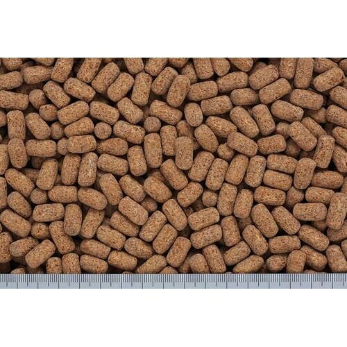 水棲カメ専用飼料 ひかり カメプロス ヘルスケア 210g キョーリン カメプロスヘル...