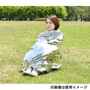 ヒラカワ ぽっかぽかアルミシート (縦213×横137cm) QT-532 [QT532ヒラカワ]