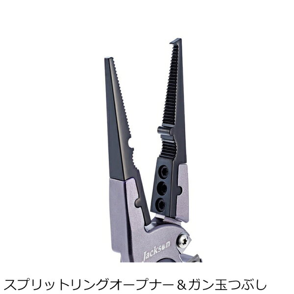 サンプル画像2