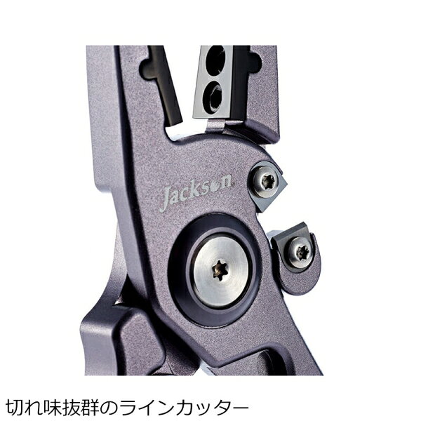 サンプル画像3