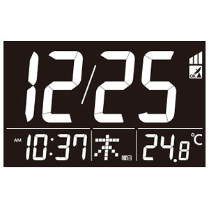 リズム 電波置き掛け兼用 目覚まし時計 ルーク デジットD209 8RZ209SR03 [8RZ209SR03]【返品種別A】 [3]