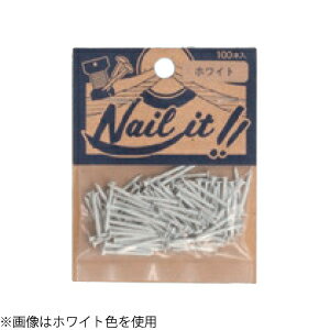 若井産業 ネイルイット 釘 17×19 スチール(100本袋入) NF10001 Nail it！！ [NF10001]