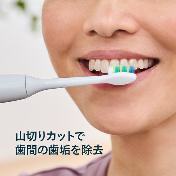 フィリップス インターケアブラシヘッド(ホワイト)　【3本入】 HX9003/14 Philips ...