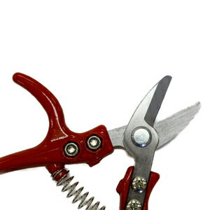 OWL �����ʲ֤Ϥ��� 140mm #557