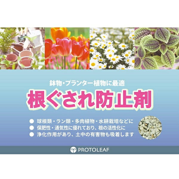 根ぐされ防止剤 600g プロトリーフ ネグサレボウシザイ600G