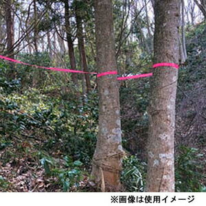 KENOH �ޡ����� �ܰ��ơ���(�ԥ󥯡���30mm��Ĺ��50m) 12903