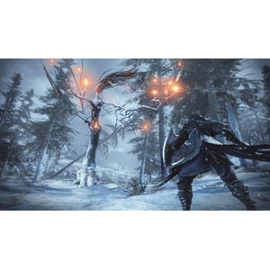 フロム・ソフトウェア『DARKSOULSIIITHEFIREFADESEDITION』