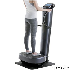 �ե����Ŵ� �������åȥȥ졼�ʡ� ���� DT-C1000 FUJIIRYOKI��DIETTRAINER CORE [DTC1000�ե�����襦��]