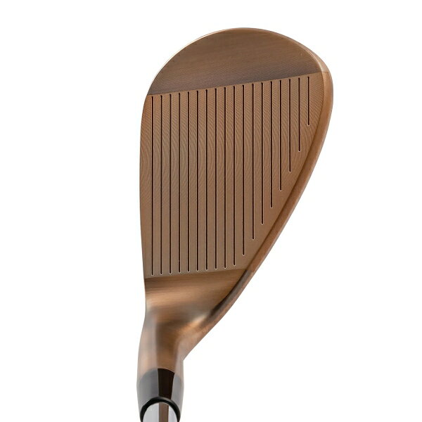 キャスコ ドルフィンウェッジ DW-123 for LADIES Copper ロフト角60° フレックス：...