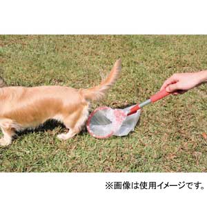 ��������� ����󥨥����å� 36037 ���֥��