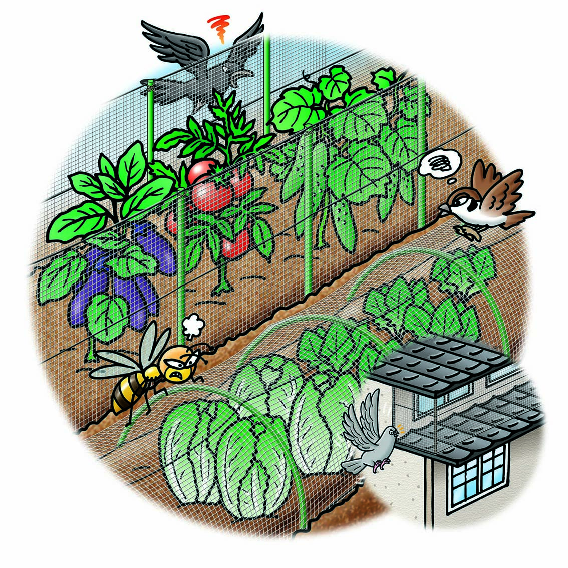 ����ܥ� Ļ�褱�ͥå�(�ʥ�����) 2m��6m 7431 ������ǥ󥹥���