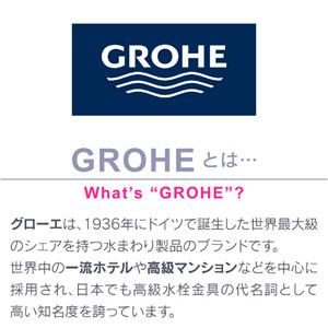 GAONA グローエ4WAYシャワーホースセッ...の紹介画像3