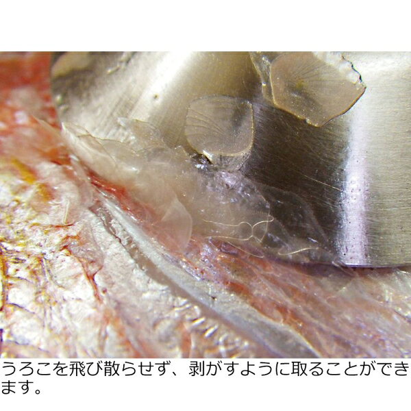 Joshin web 家電とPCの大型専門店のがまかつ うろこ取り GM1314 ウロコトリGM1314 Gamakatsu GM1314 [GM1314ウロコトリガマカツ]｜アングル2