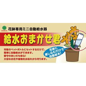 �ޥ�ϥ����� ��ư��太�ޤ�����2P(�١�����) #3230
