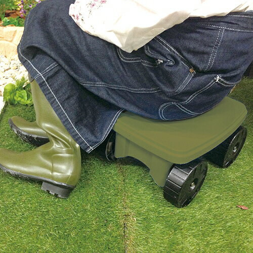 ���եƥ�-3 �����ǥ������(���꡼��) olive