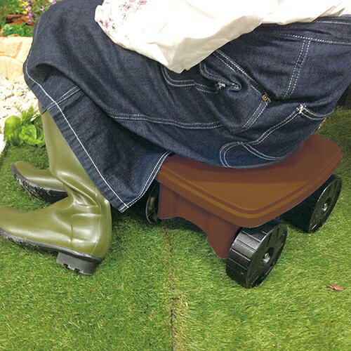 ���եƥ�-3 �����ǥ������(�֥饦��) brown