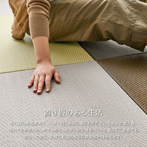 HAGIHARA(萩原) い草風置き畳 綾模様 約65×65×2.5cm BR ブラウン ハクレイ6565BR [ハクレイ6565BR] [3]