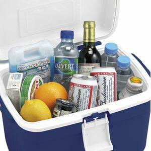 #620484 アステージ フォレスクルー#13 D(ブルー)13L ASTAGE クーラーボックス通販格安セール情報 楽天 通販