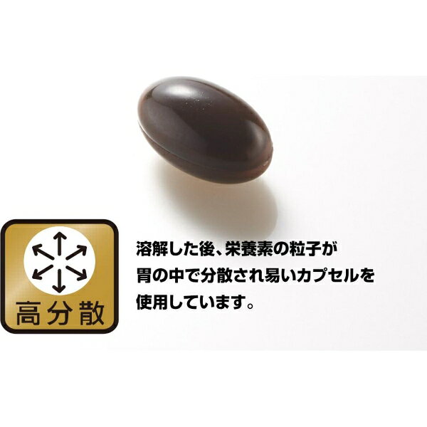 栄養補助食品 ブルーベリー＆ルテイン 60粒 栄養補助食品 野口医学研究所 ブル-ベリ-＆ルテイン60T jism-14872376 Joshin web 家電とPCの大型専門店 サンプル画像2