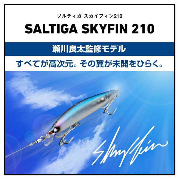 ソルティガ スカイフィン 210 グルクン の商品画像2枚目