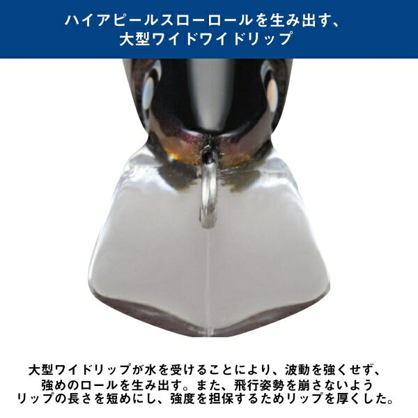 ソルティガ スカイフィン 210 グルクン の商品画像3枚目