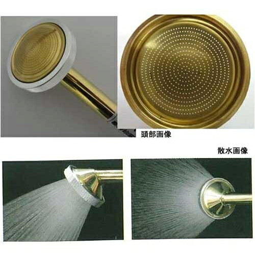 ZETTO 農園芸用 散水ノズル ISO女ネジ付 620mm GL38(ISOメネジツキ)