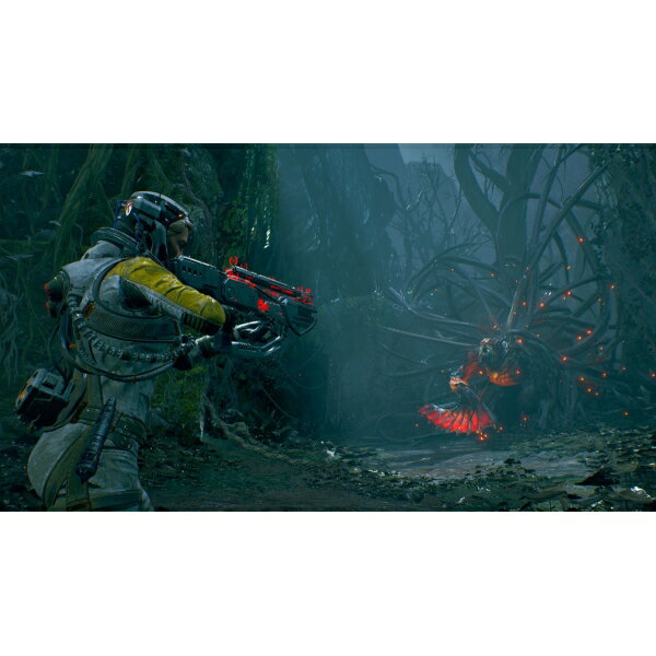 【いつでも2倍！1日と5.0のつく日、18日は3倍！】【中古】F1 2021 PS5