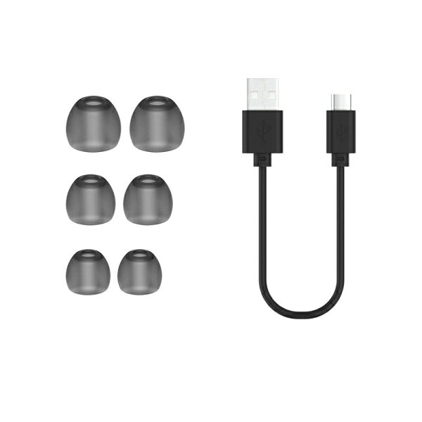 ナガオカ 完全ワイヤレス Bluetoothイ...の紹介画像3