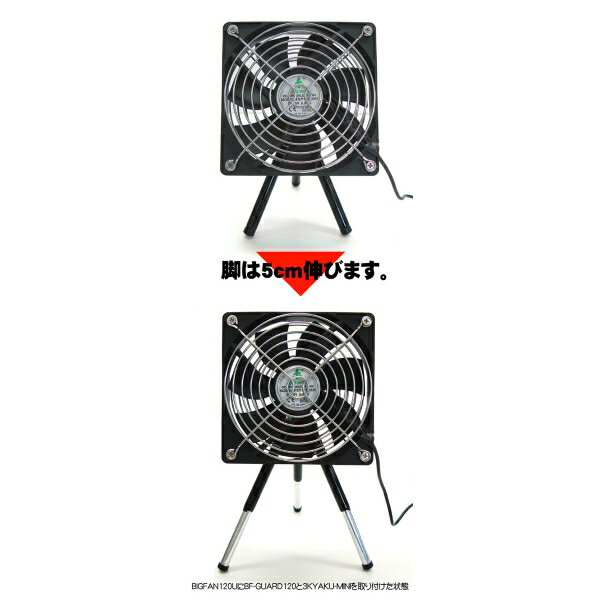 ������꡼ 1/4������ܥ���վ������� 3KYAKU MINI