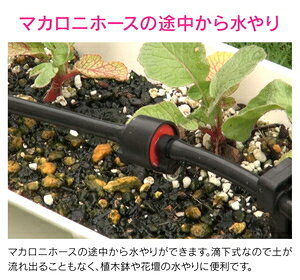 GAONA 滴下ニップル マカロニホース用 ドリップ潅水 GA-QF019 ガオナ