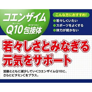 DHC コエンザイムQ10 包接体 60日分 120粒 DHC DHCコエンザイム60ニチ