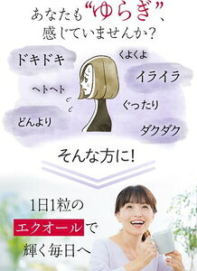 DHC 20日大豆イソフラボンエクオール（20粒） DHC DHC20ニチダイズエクオ-ル20