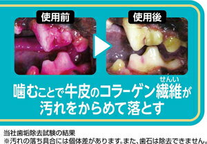 サンプル画像3