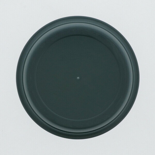 �٥��ȥ� �ե���󥰥ݥå��ѥץ졼��(5��/���꡼��) MA-3281